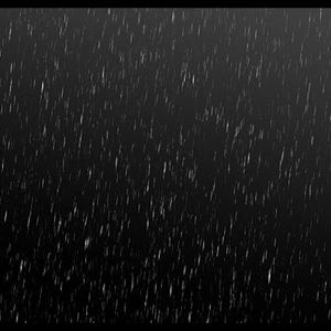 Meet your Posher, Xavier